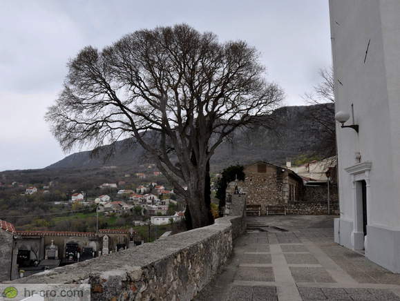 Churchyard at the church in Bribir