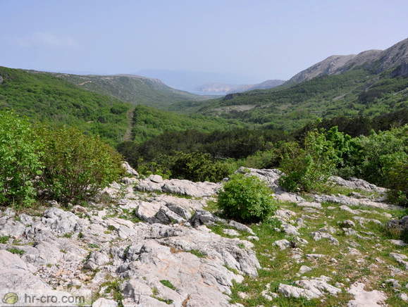Baska - Viewpoint