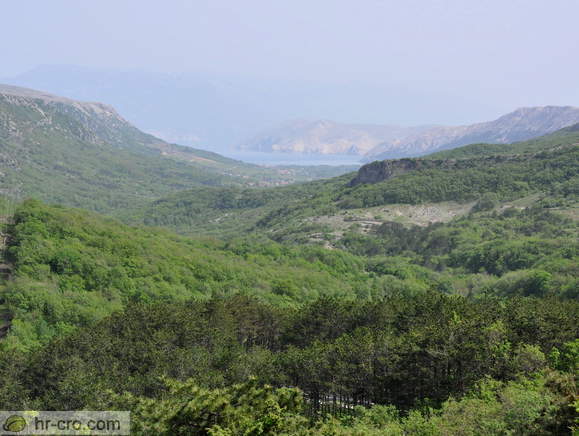 Baska - Viewpoint