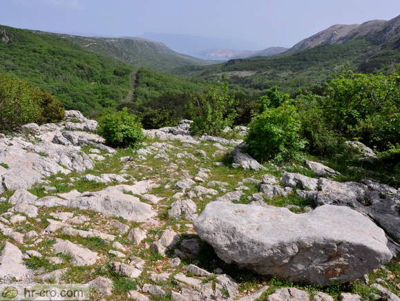 Baska - Viewpoint