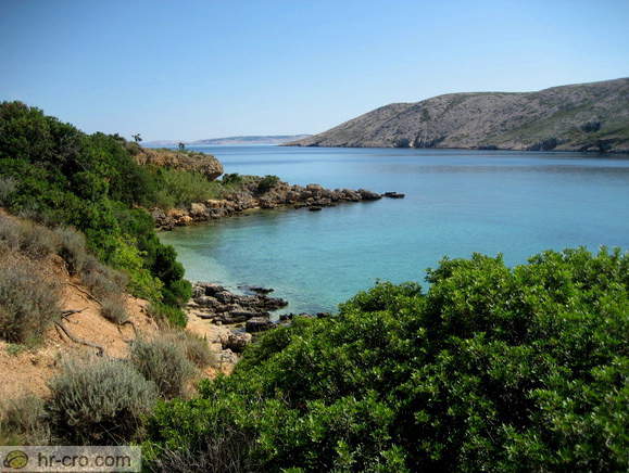 Rab Island - Pudarica Beach