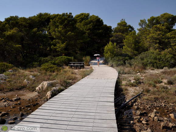 Arrival on the islet of Skoljic