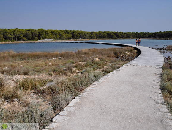 View back on the bridge