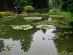 Botanical Garden - Zagreb - Botanical Garden 
