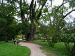 Botanical Garden - Zagreb - Botanical Garden 