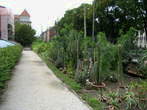 Botanical Garden - Zagreb - Botanical Garden 
