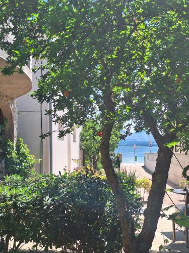 Apartment in Raslina - Frane