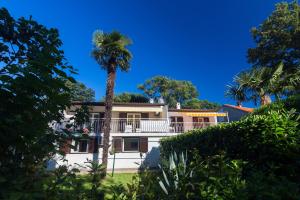Apartments by the sea Njivice, Krk - 20519