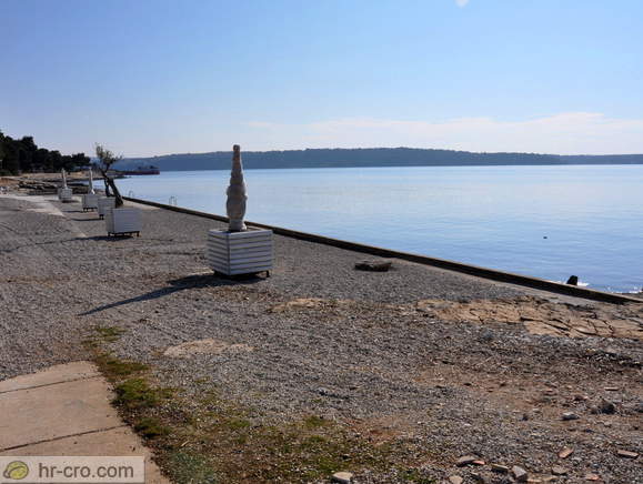 Novigrad - Hotel Maestral