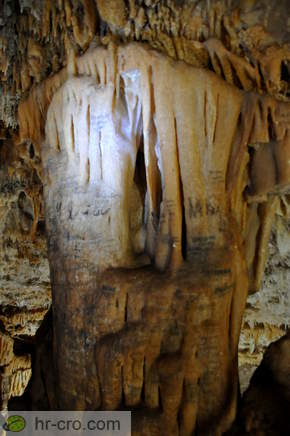 Column written all over