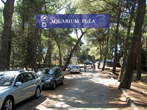 Aquarium Pula - Aquarium Pula 