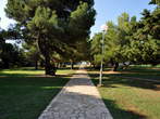 Arena Hotel Holiday - Shaded paved path among trees 