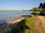 Pošesi - Grassy coastal path and stone shore 