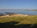 Pošesi - Open rocky shore at Pošesi 