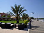 Waterfront - Palms and terrace beside the promenade 