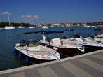 Harbour - Small excursion boats beside the waterfront 