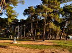 Camping Savudrija (Pineta) - Savudrija - Camping Savudrija (Pineta) 