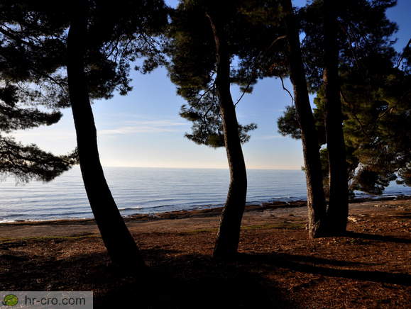 Savudrija - Camping Savudrija (Pineta)