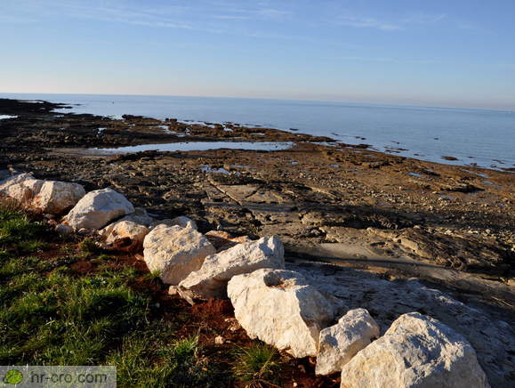 Beach at Savudrija