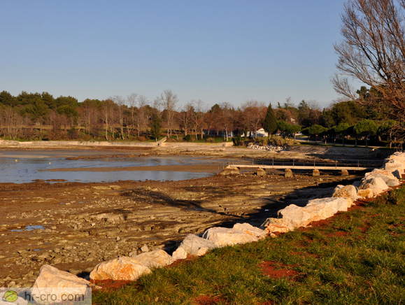 Coast <br> Bay at the village Savudrija