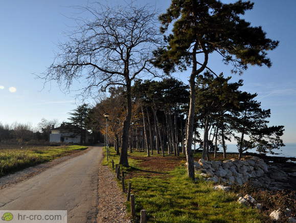 Road to the lighthouse in Savudrija