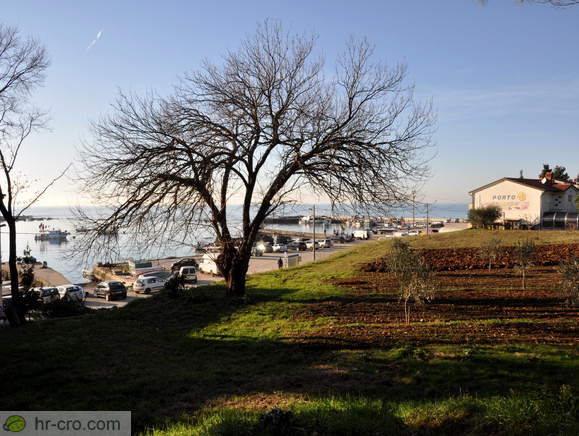 Savudrija - Alt Savudrija