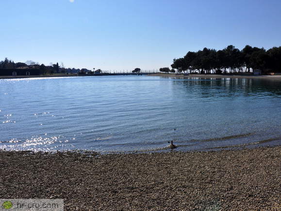 Stella Maris - Laguna