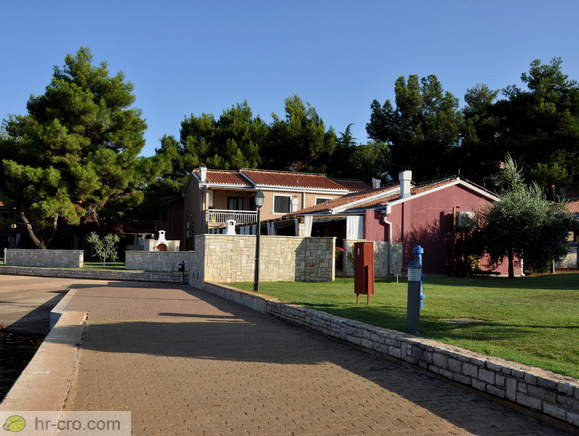 Vile v bližini marine