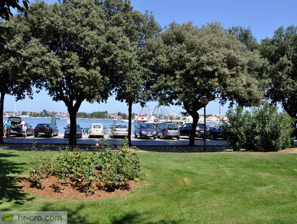 Mestni park in luka v ozadju