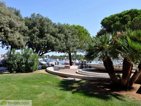 Drevje v mestnem parku