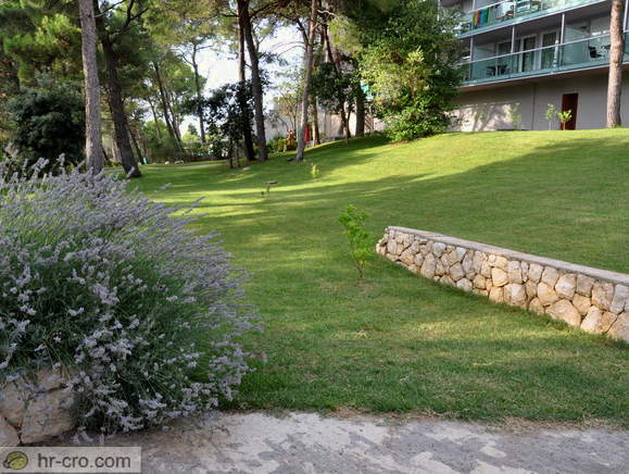 Cikat - Hotel Aurora