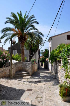 Otok Lošinj - Mali Lošinj