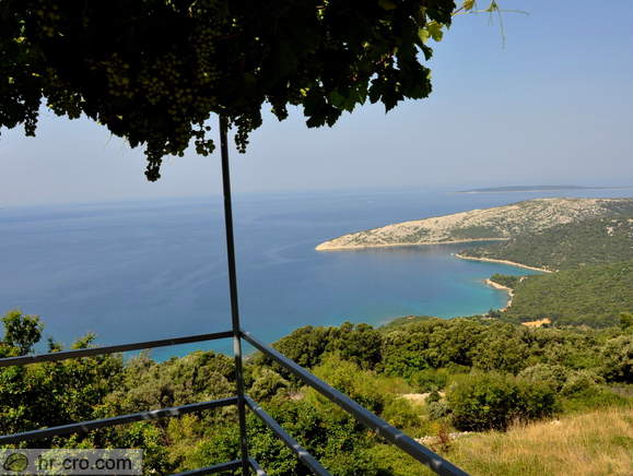 Otok Cres - Ustrine