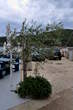 Valun - Otok Cres - Valun 