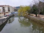 Dubračina - Struga z vrbami ob nabrežju 