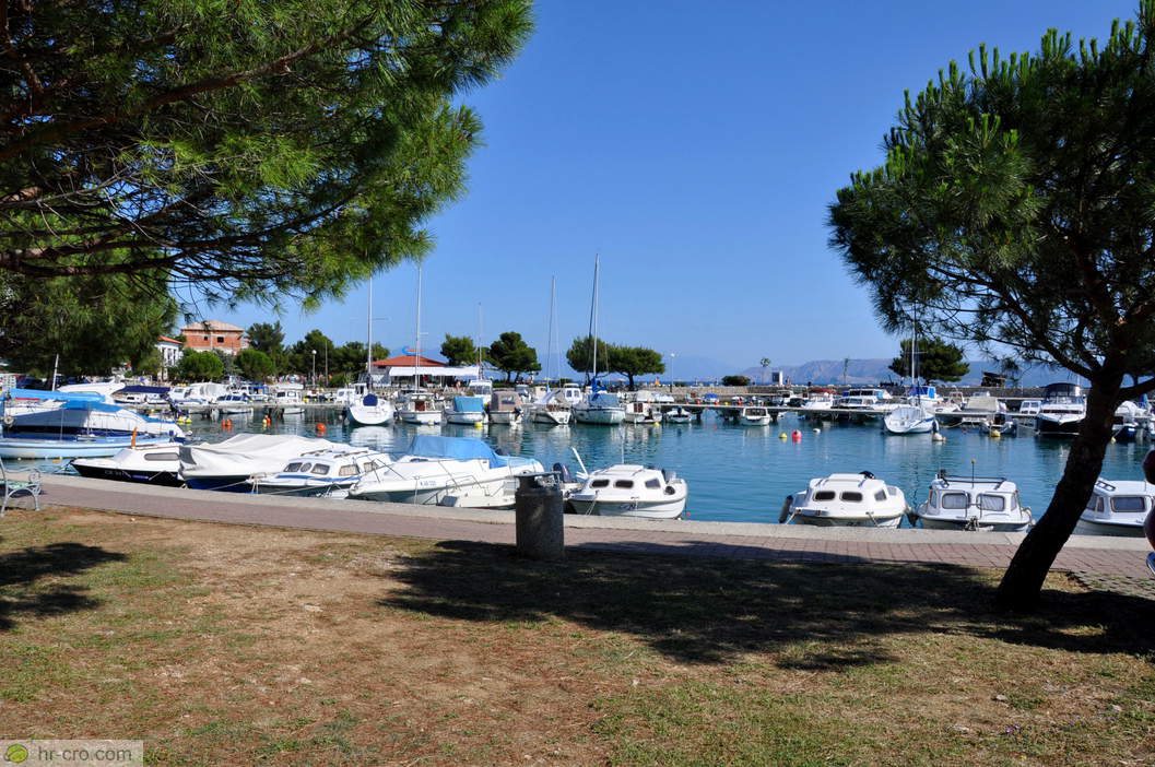 Marina im Rahmen von Kiefern