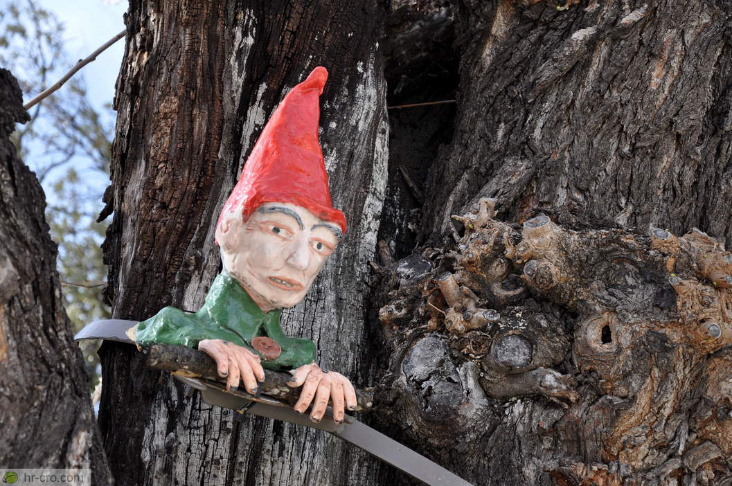 Red-capped gnome in the tree trunk