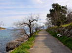 Wanderweg rund um das Kap Kacjak - Dramalj - Wanderweg rund um das Kap Kacjak 