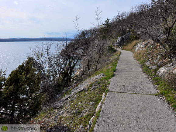 Trail