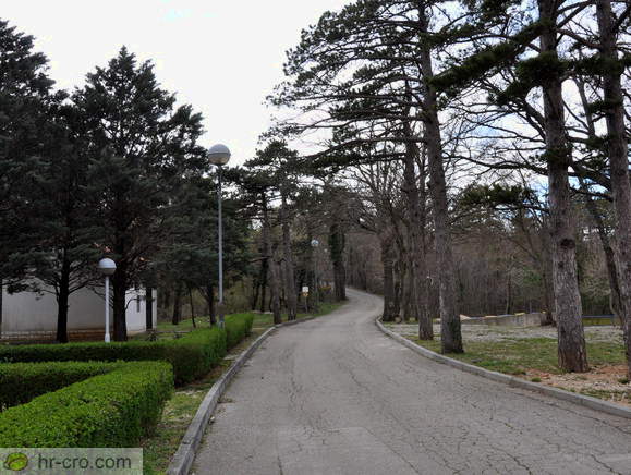 Cesta za staro mesto Drivenik