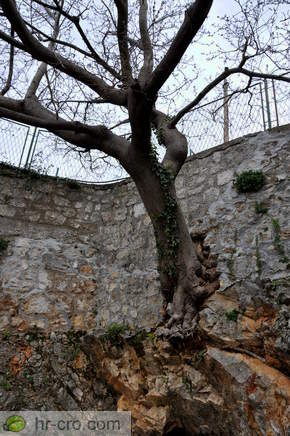 Selce - Wasserquelle (polaca)