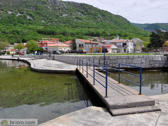 Bakarac
