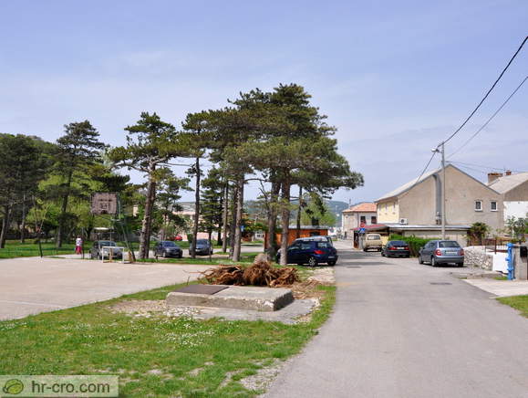 Bakarac