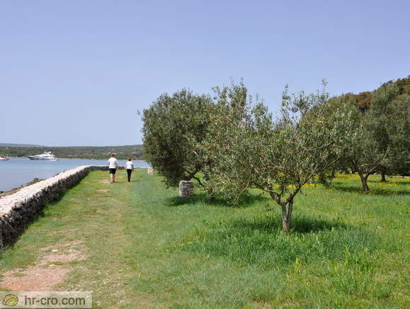 Insel Krk - Kosljun