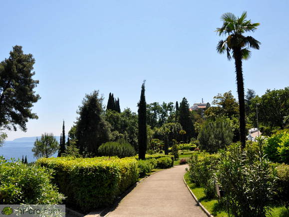Walking path in the park