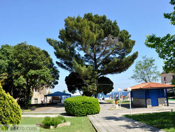 Pogled proti plaži s smeri hotela