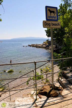 Beach for dogs