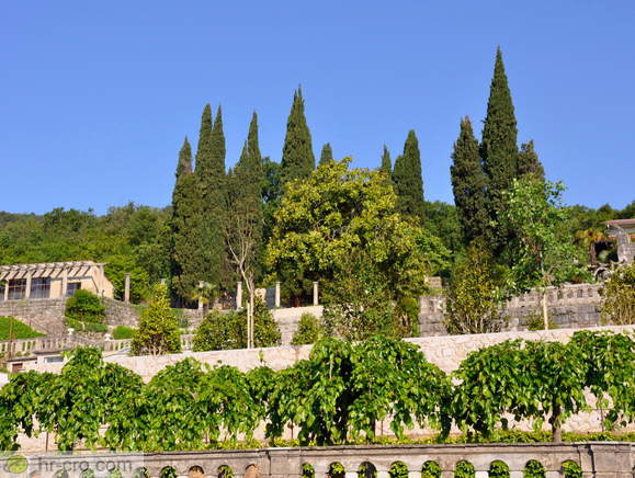 Opatija - Amerikanische Gärten