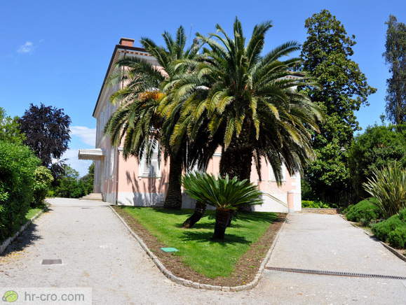 Vila Angiolina obdana s palmami