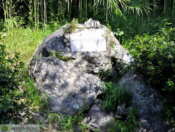 Plošča - Markusovsky Sitz